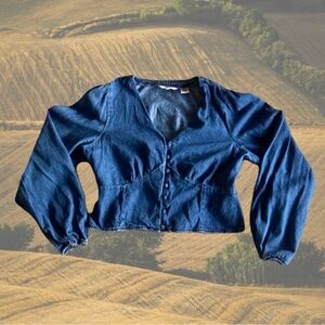 Levis Costal cowgirl blouse